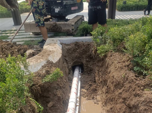 滨海穿马路