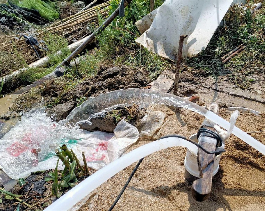 滨海果园种树打井